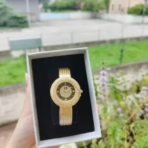 Orologio in Acciaio oro